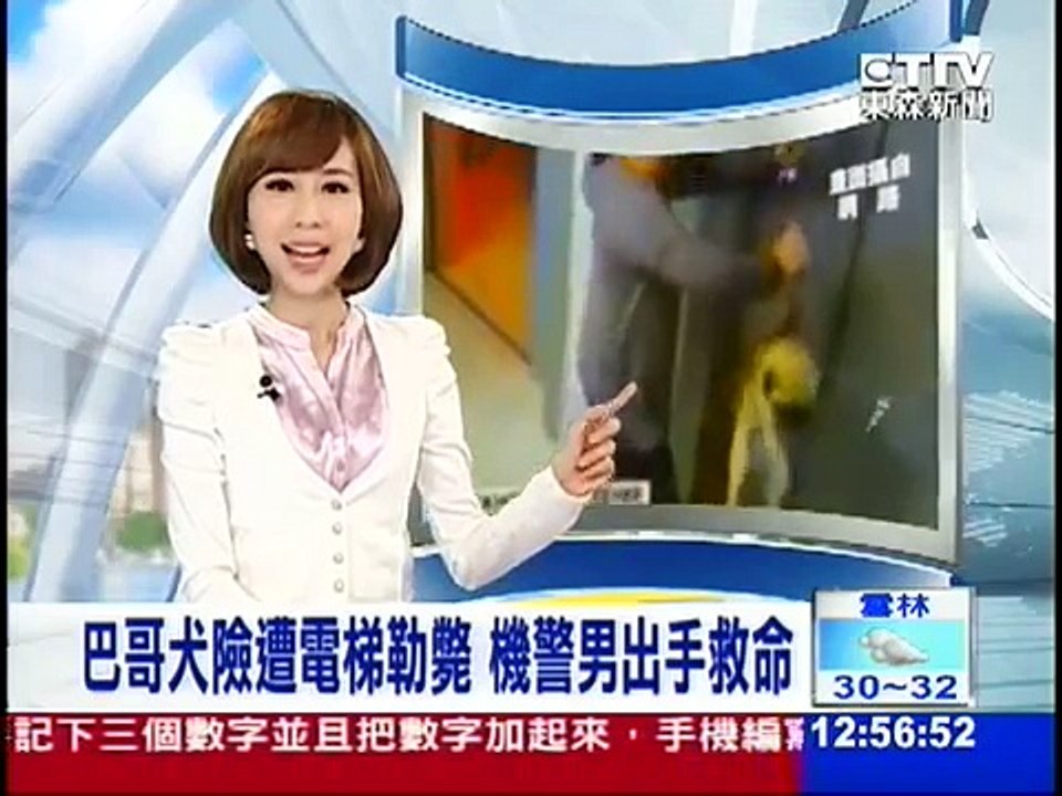 寵物犬險遭電梯勒斃 -- 張佳如主播