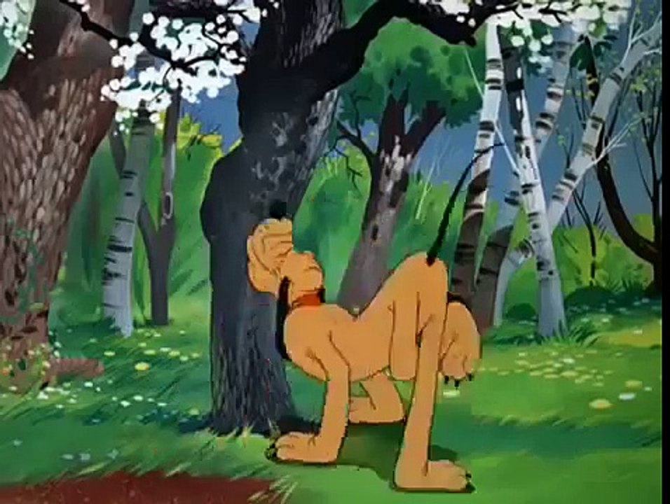 Mickey Mouse Pluto Springtime For Pluto