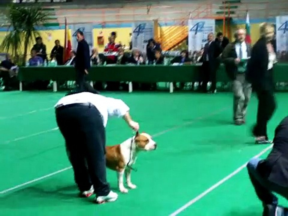 AMSTAFF EXPO