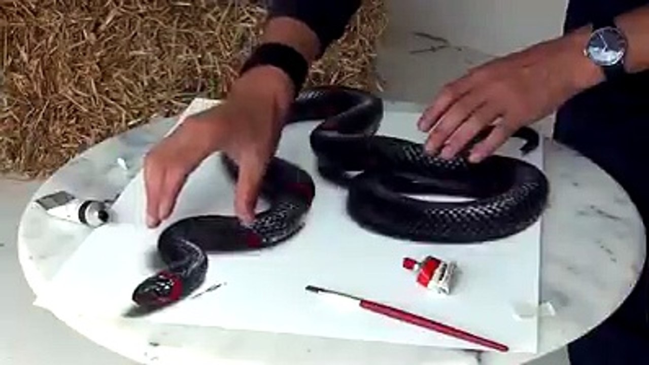 Amazing 3D painting, look like a real snake