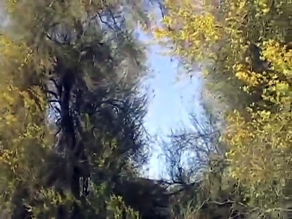 First Gila Monster Sighting of the Year!