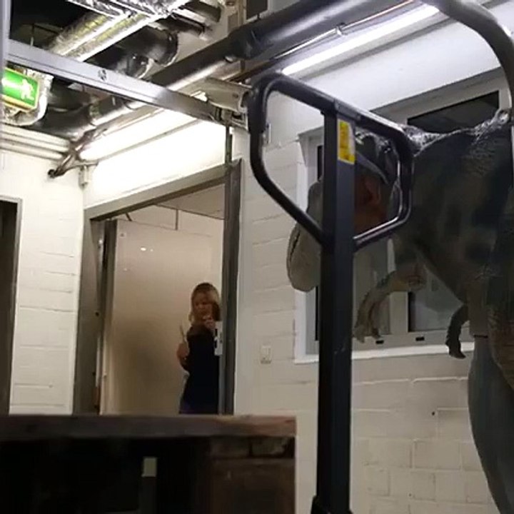 Horror Prank Best Horror Scary Prank with dynasore