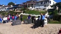 Rescued and Rehabilitated Sea Lions Return to the Ocean