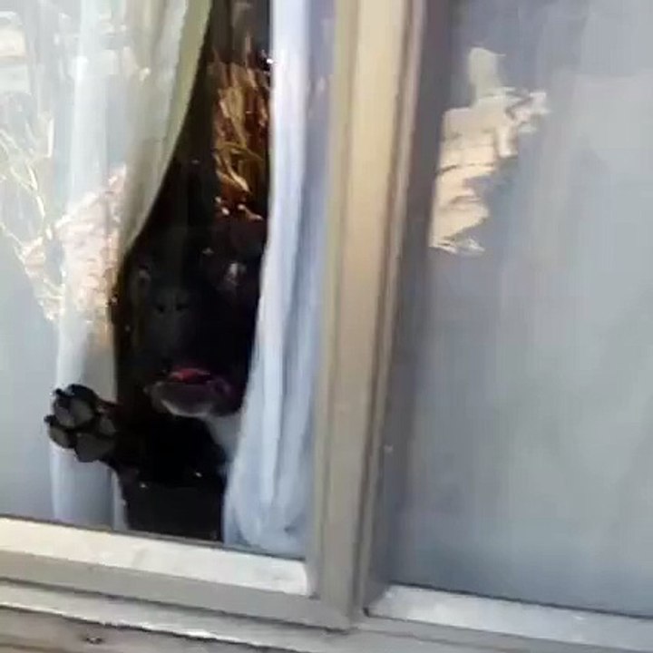 When stripper is at the door !!!