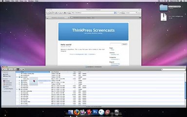 RSS Feed Icon Widget How-to Video