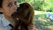 Monkeys Smother Volunteers With Kisses in This Bolivian Animal Sanctuary