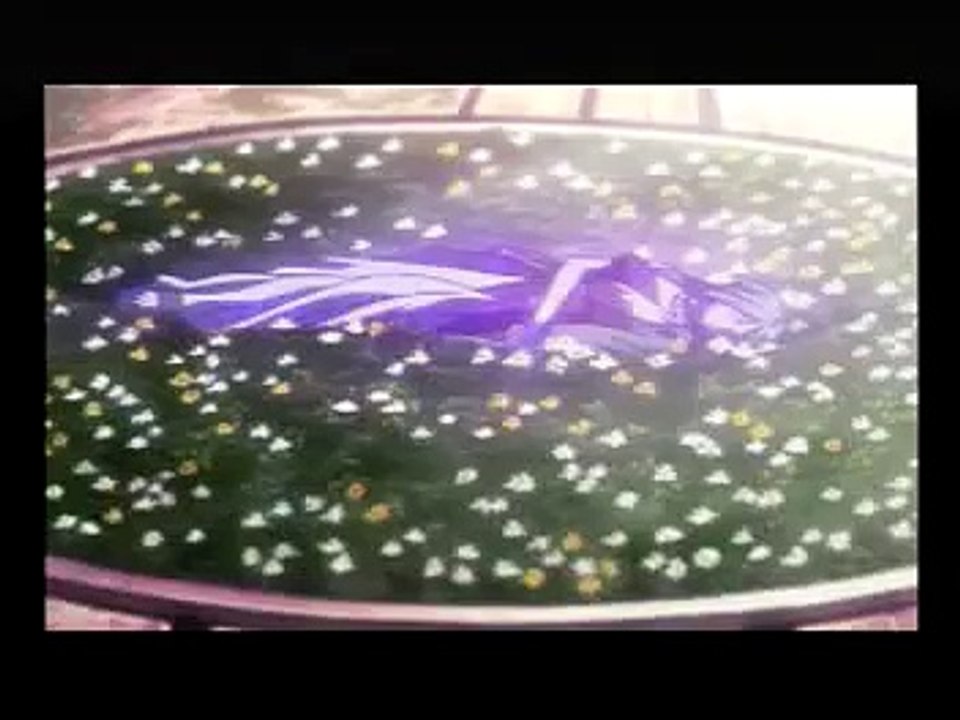 FMA 2 - Scene 8