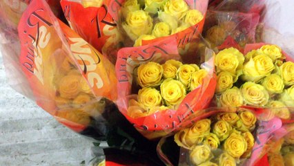 Ataşehir çiçek siparişi