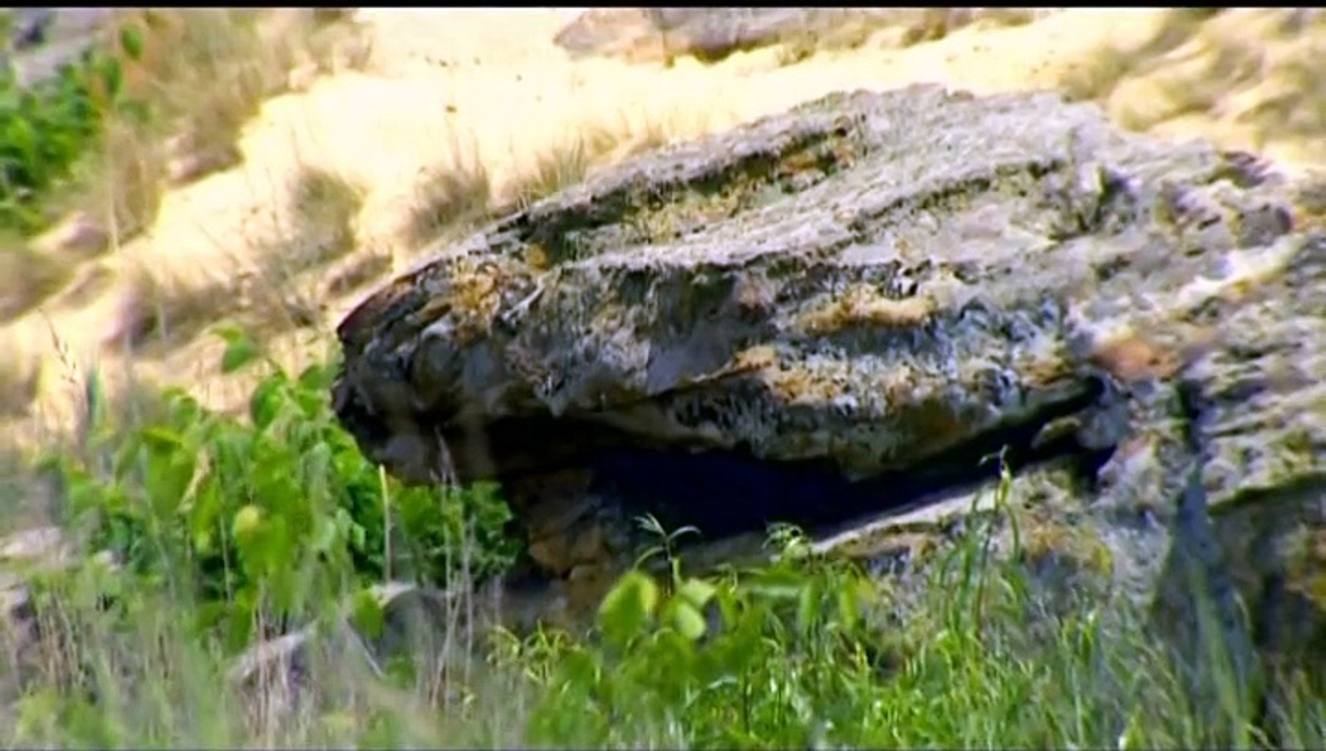 Кам’яна могила