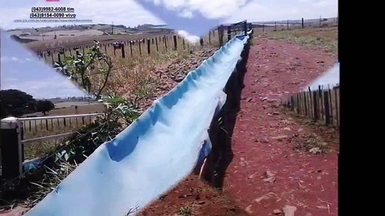 Mauro Kondo vende 28 alqueires em Urai/ Paraná.