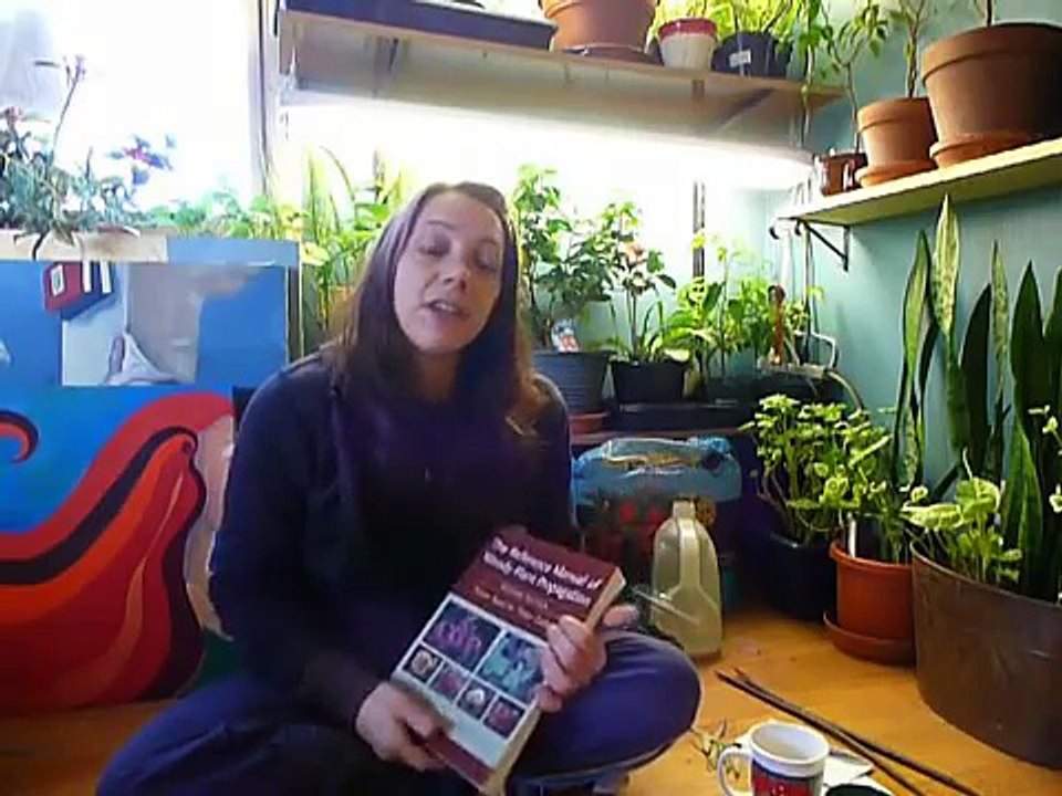 Tree Seed Stratification