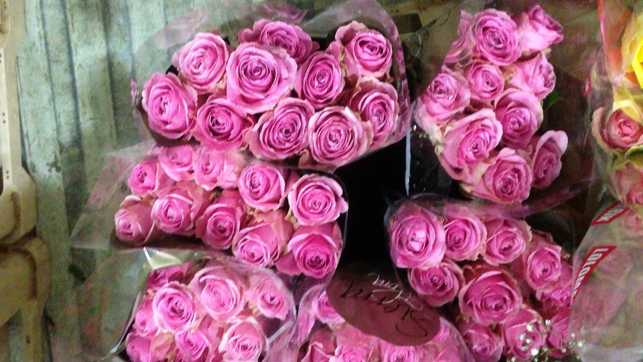 Maslak çiçek siparişi