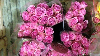 Maslak çiçek siparişi