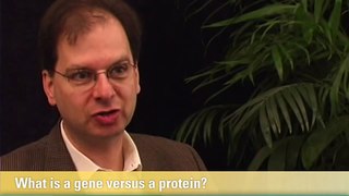 What is a gene versus a protein