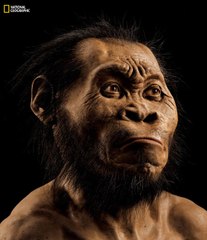 Homo naledi : pourquoi il interroge la communauté scientifique