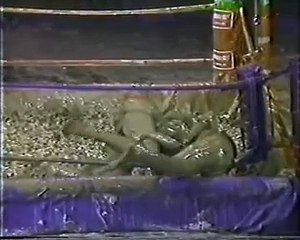 mud wrestling in USA, by Japan stuff, final stage in this series