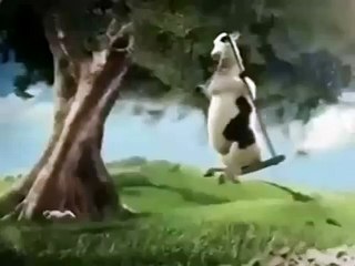 Happy Birthday, Funny Cows Style!