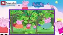 Peppa Pig Italian Nuovi Episodi 2014 EP 11 La gita nel bosco