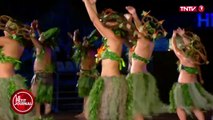 Le festival Heiva de Tahiti  -Le Petit Journal du 10/09 - CANAL+