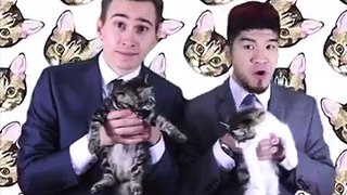 Cat Rap W/oh hi mark - Vine by Leslie Wai