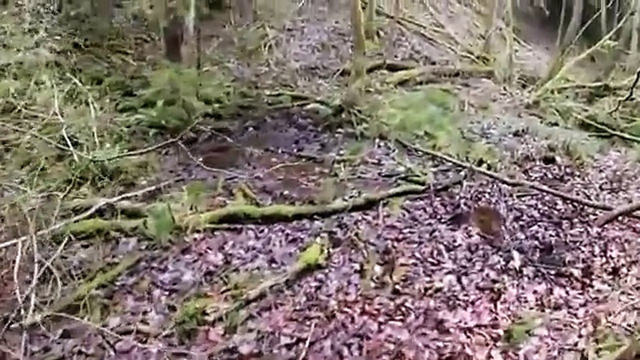 POKRAČOVANIE 1. zimný hammock camping zraz Sáza...