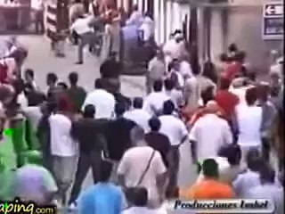 _ Mad cow attacks people except an old man