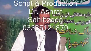 Rice weed control Pakistan Dr. Ashraf Sahibzada