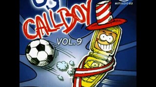 Ö3 Callboy Vol.9