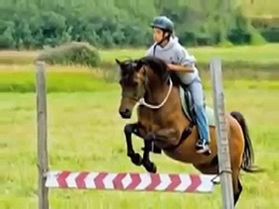 Plumb Pond Natural Horsemanship Part 2