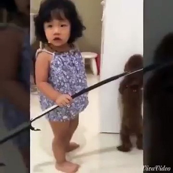 Clip hài - cười ngất với bé dạy chó cực cute ( dog animals)