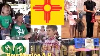 New Mexico 4-H