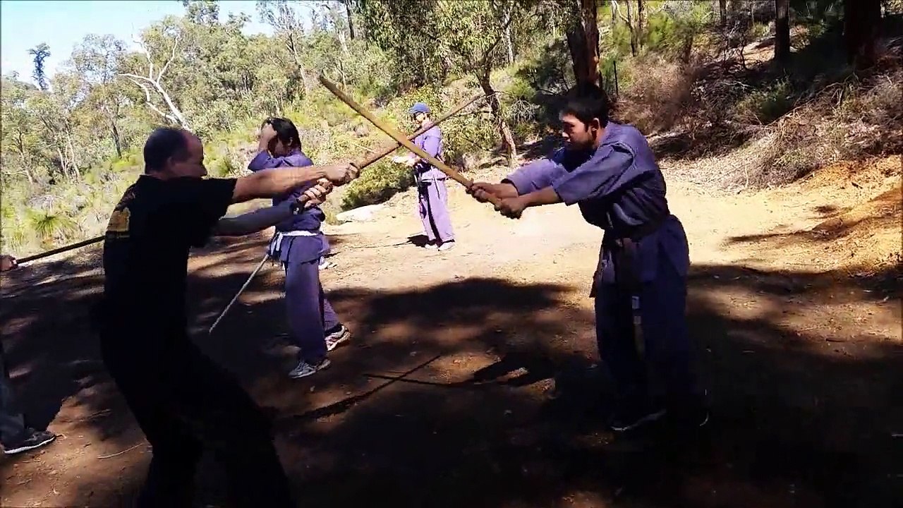 Chang or Miao Dao Mei Hua (Plum Blossom Form) - complete
