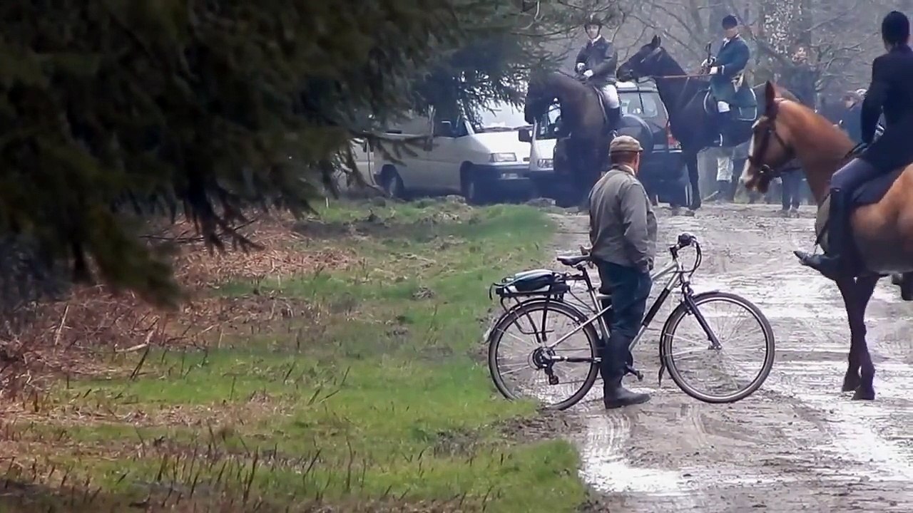 Chasse à courre 2015