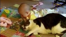 Cute cat & baby compilation-Funny cats and babies playing together