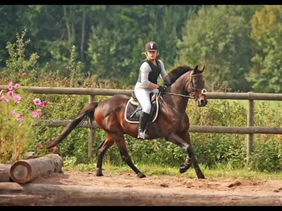 A King Clubman Tribute