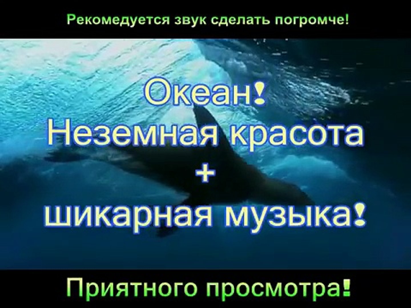 ⁣Океан! Неземная красота + шикарная музыка!