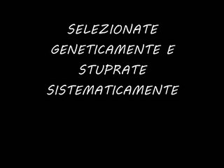 Le mucche, i vitelli e gli allevamenti per la produzione di latte
