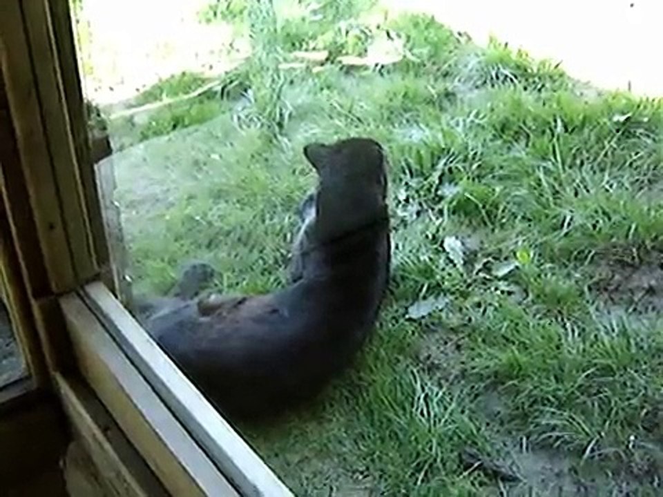 27 KARPIN AVENTURA 11 JULIO 2009