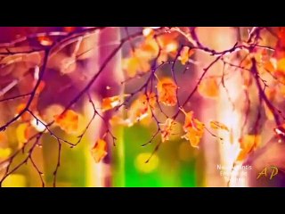 Emisiunea Radio-Tv Arthis din 11 septembrie 2015 /P2- ro