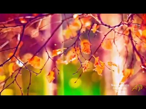 Emisiunea Radio-Tv Arthis din 11 septembrie 2015 /P2- ro