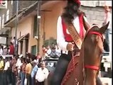 Hípica Fiestas de la Cruz 2008