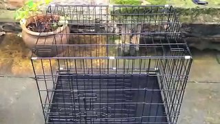 Folding Dog cage.m4v