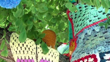 Blackbird, blackbird singing in a tree