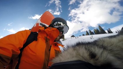 Cute dog has the best adventures!