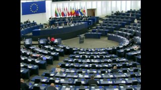 Sverigedemokraternas debut i EU-parlamentet