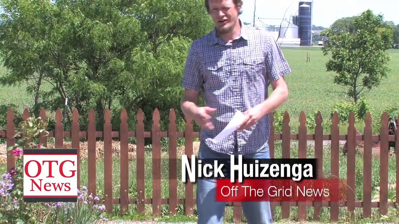 All Natural Bug Spray Recipe That REALLY WORKS! - Off The Grid News