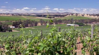 Hentley Farm, Barossa - Pairing Gourmet Produce with Premium Wine