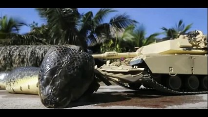 НЕВЕРОЯТНО огромную змею поймали в Красном море!!!!