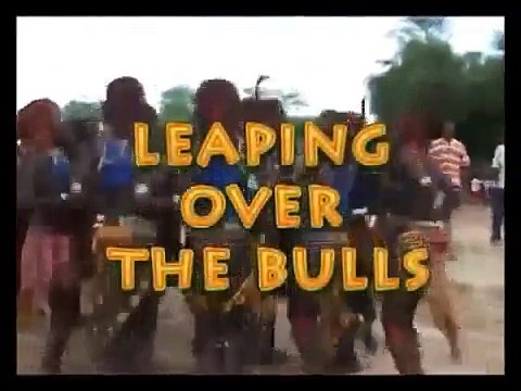 Native Hamer tribes hard life at Omo River Men Drinking Cow blood in Ethiopia