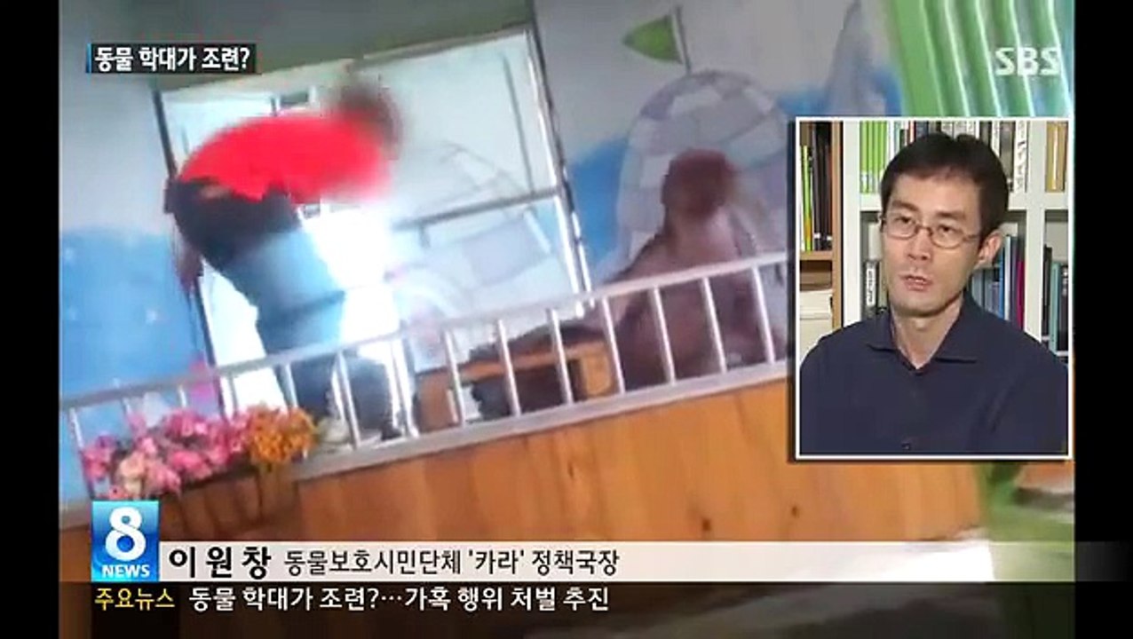 '때리고 목 조르고' 동물 학대가 조련...처벌 추진